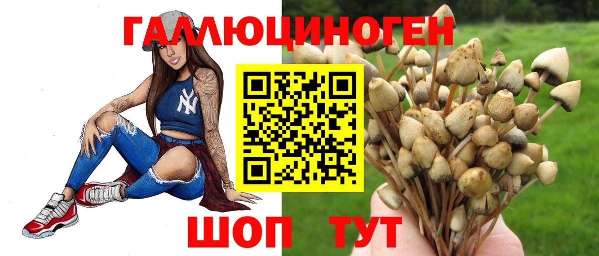 Галлюциногенные грибы Cubensis Миасс