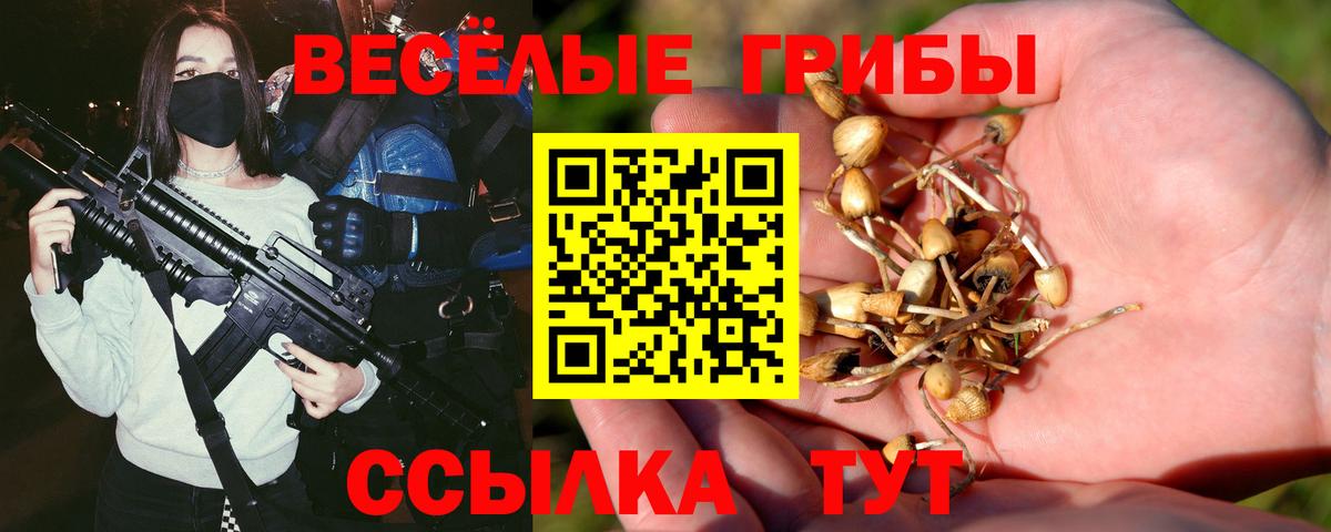 Миасс  Псилоцибиновые грибы прущие грибы  Вход с VPN 